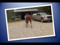Video Created from PowerPoint
