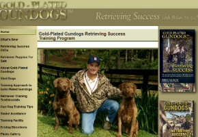 Gold-Plated Gundogs