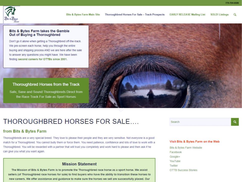 thoroughbred-horses-for-sale-web-example